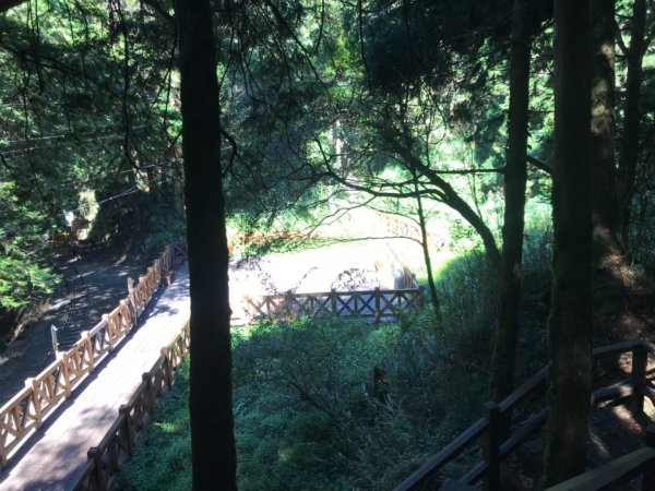 阿里山雙峰大塔山對高岳連走451425
