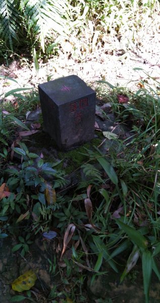 銀河洞，貓空尖，待老坑山大o型444310