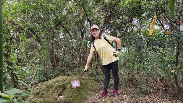 (姨婆趴趴走)第九集:攀登新北鶯歌石，鶯歌郊山步道群縱走(一)2167925