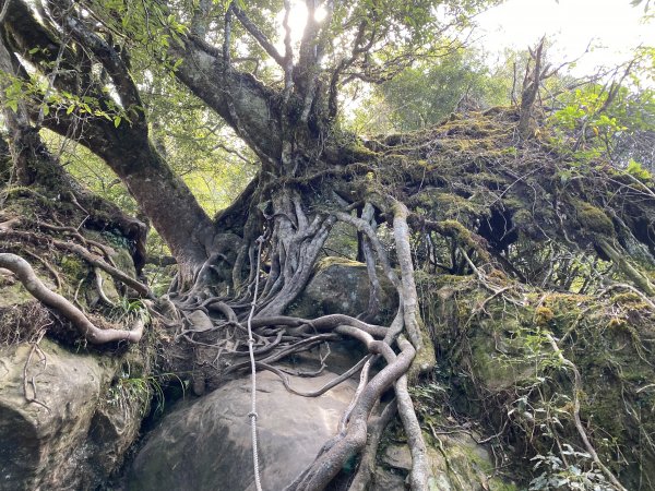 苗栗加里山1491242