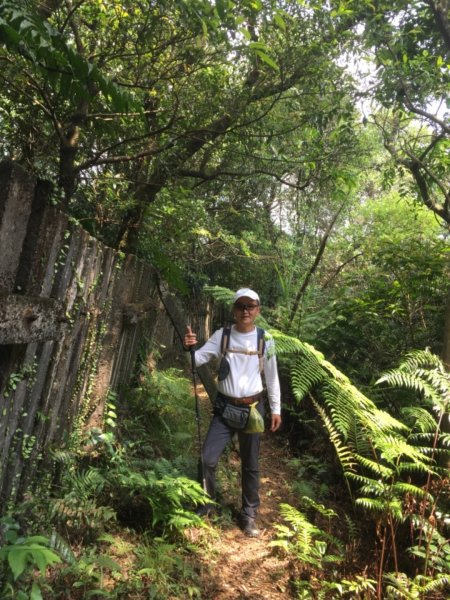 2021/04/04七堵石獅-石象-下坡山封面