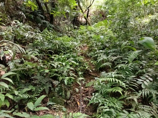 平溪區灰窯山驚險岩稜+司公碗帽山O型2897925