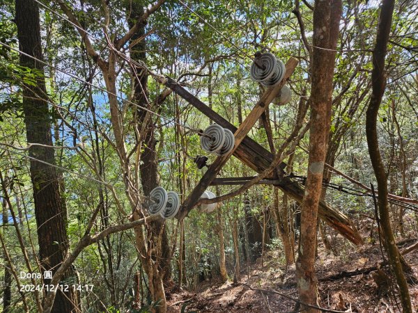 【谷關七雄】波津加(H1771.6m)肉腳配速成功2670514