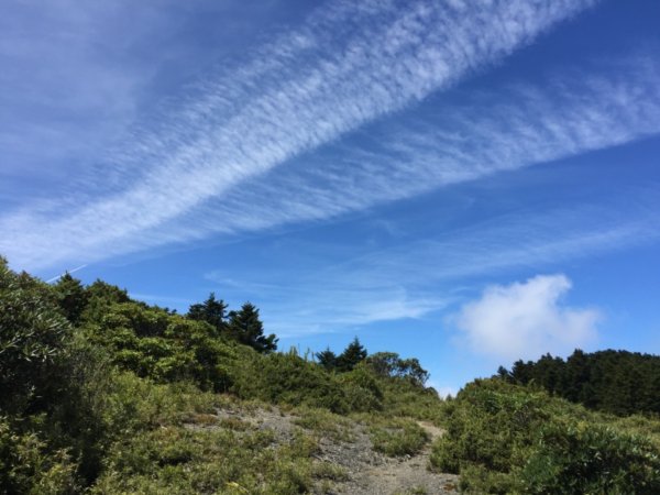 世紀奇峰大霸尖山、小霸尖山、伊澤山、加利690106