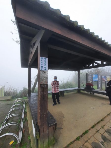 2023/01/23 桃園大棟山(小百岳)，樹林大同山，青龍嶺2003261