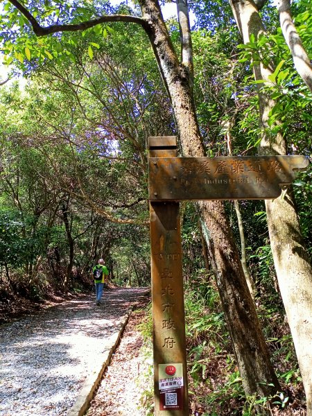 （2-2 大崙頭山→金面山）《暢遊翠山步道→小溪頭環狀步道→大崙頭尾山→論劍山→剪刀石山→金面山》1638508