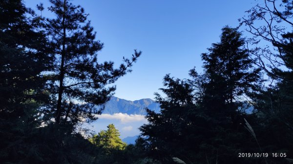 大雪山神木&天池715483