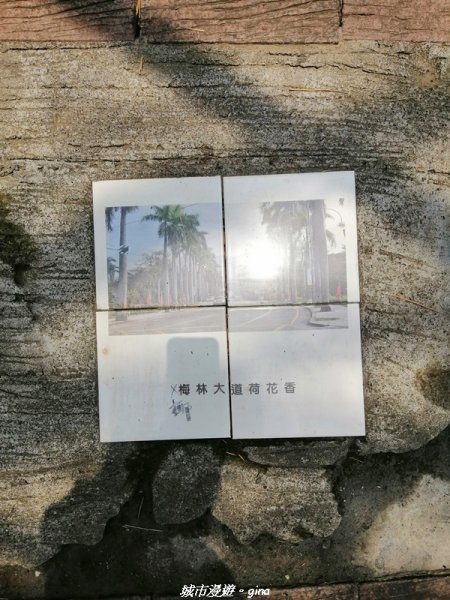【南投。草屯】蜿蜒步道很親民。 中興新村虎山步道1383084