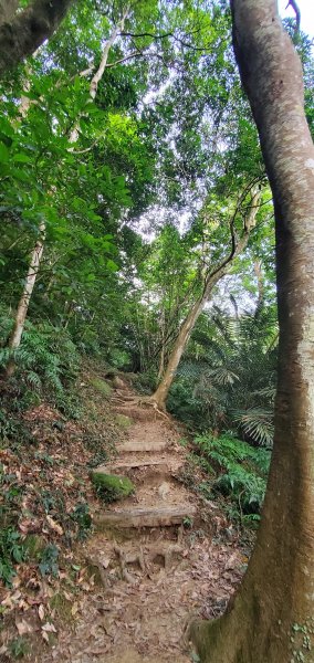 2022-07-16五寮尖登山步道1765614