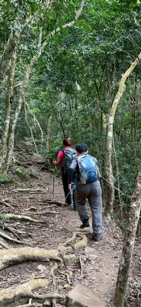 馬那邦山（珠湖登山口）2933960
