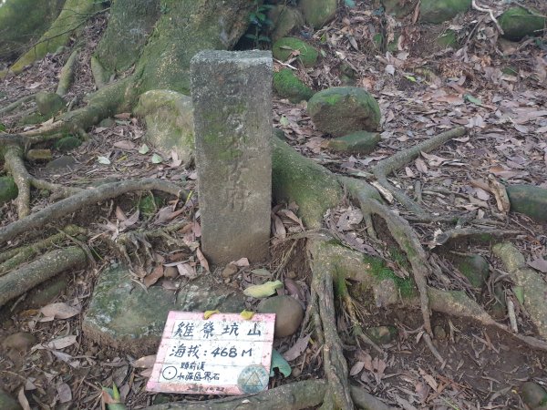 飛沙17連峰2701041