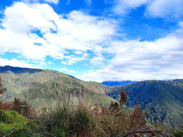 1/1元旦雪主東2681432