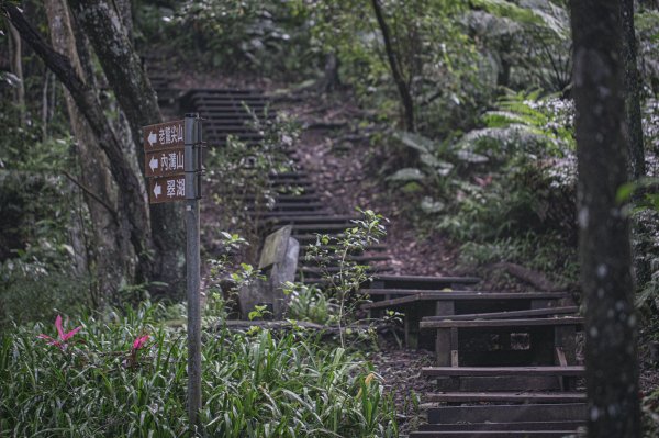 寄命-汐止北港二坑礦場遺址1746130