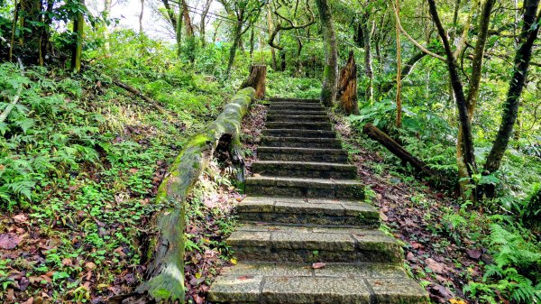 汐止大尖山2971876