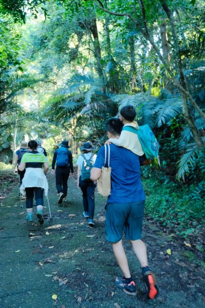 【白毛山】絕美天國階梯~網美必訪3012285