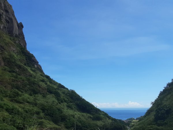 金瓜石，與奈良美智的詩意邂逅2883190