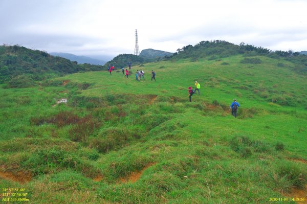 芒裡偷閒-大嶺古道飛越桃源谷1155255