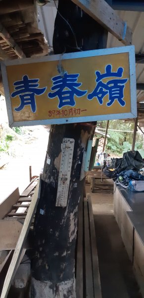 土地公後山1232688