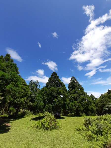 臺北大縱走3：擎天崗、頂山石梯嶺步道669981