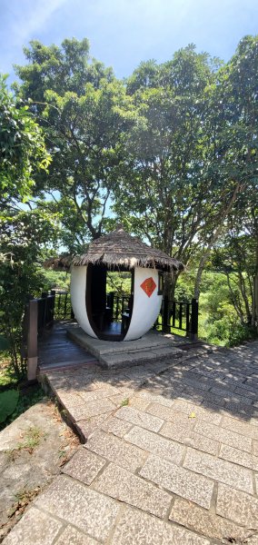 2020/07/18臺北大縱走第七段：名門社區公車站至飛龍步1166419