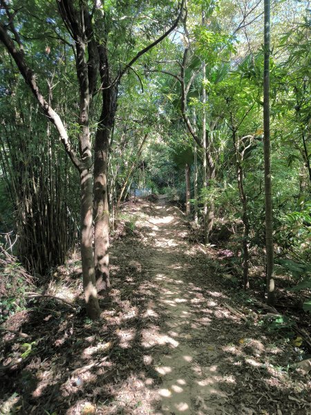 20250906泰山辭修公園、尖棟山、69步道、瓊仔胡2879482