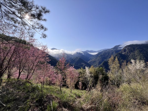 ~ 上帝的部落 - 司馬庫斯 ~3023501