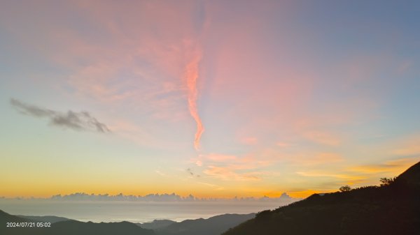 雲山水花鳥蝶 - 天龍國阿伯的日常7/18 & 21、22、292555558