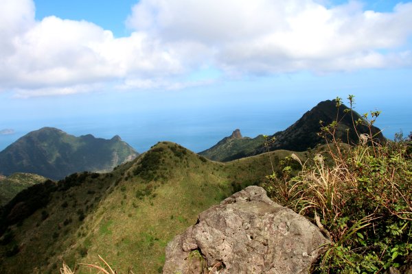 【金瓜石】漫山芒花怒放浪漫，礦山藍海奇景夢幻！2964029
