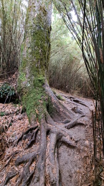 合歡西峰單攻1216884