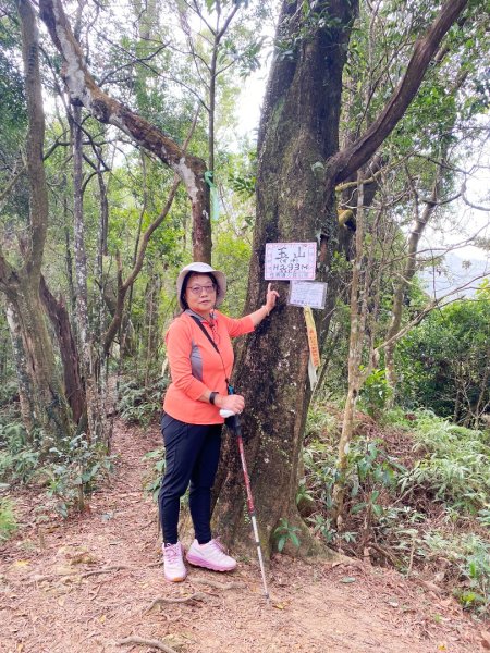 太元宮-關西玉山前-玉山/南柯山-東獅頭山-赤柯山南峰-赤柯山-太元宮 O繞2959296