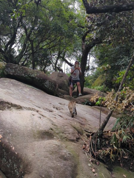 2025.09.07－金面山2880208