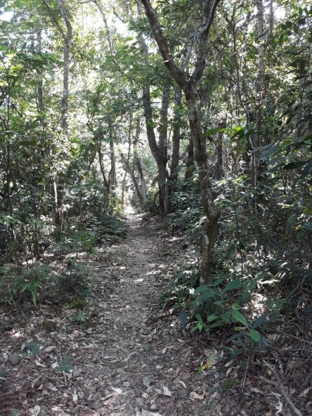 彰化芬園挑水古道碧山古道20190630620225