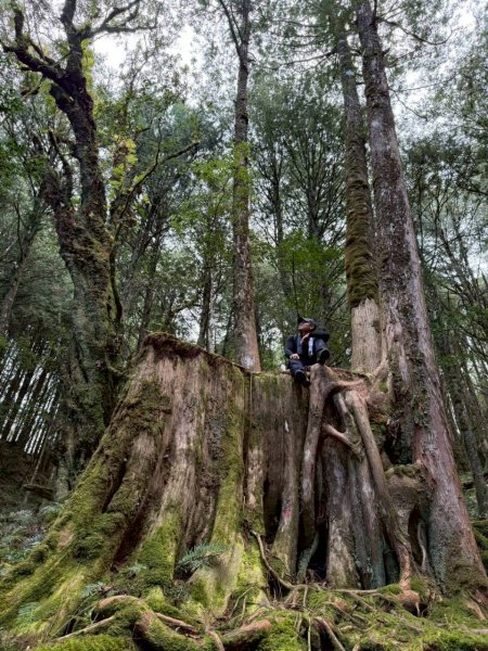 🌈11/15（六）松鶴上八仙山下森林遊樂區✨FB：熊熊趴爬走🌈2937682