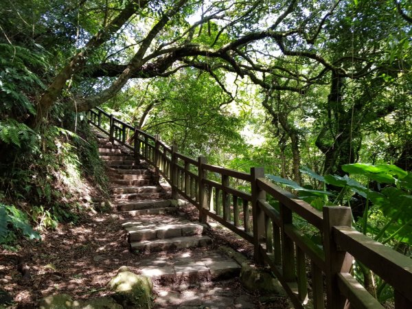 魚路南段(絹絲步道-擎天崗)1088996