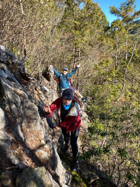 20250112八眉阿2688833