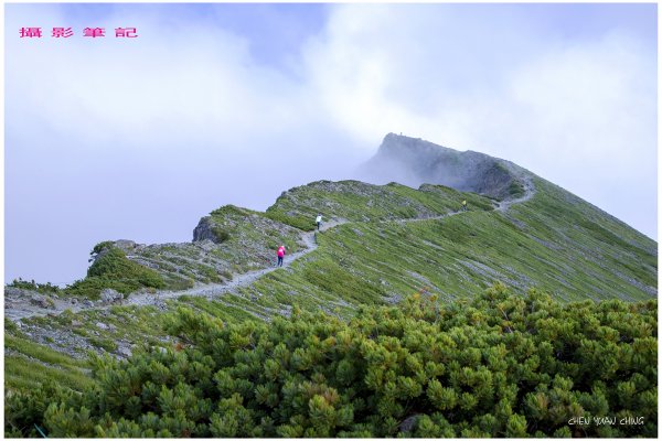 白馬三山/日本北阿爾卑斯百花繚繞2580471