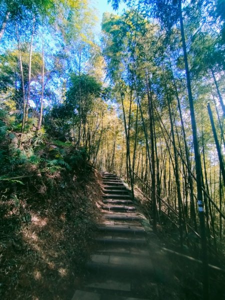 雲嘉連峰2365706