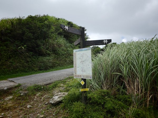 [淡蘭古道] 2026_0531 北路第一段_燦光寮古道(中)-陡坡3070876