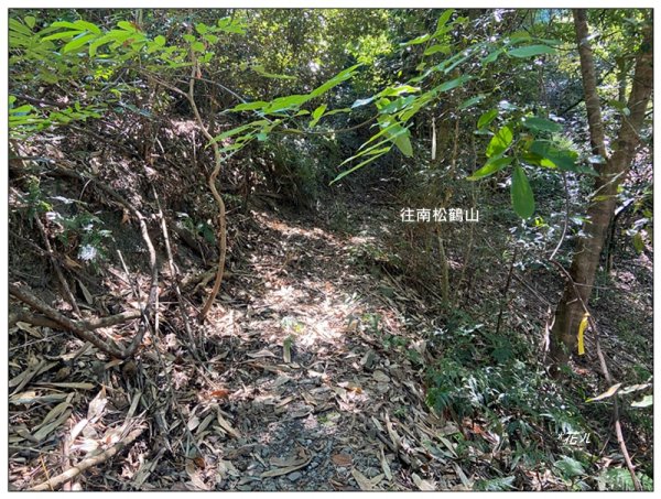 南松鶴山～八仙山 (台中 和平)2926077