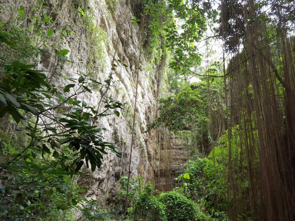 壽山、泰國谷、一簾幽夢步道