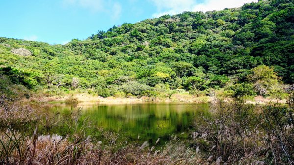 向天蝦不蝦2936815