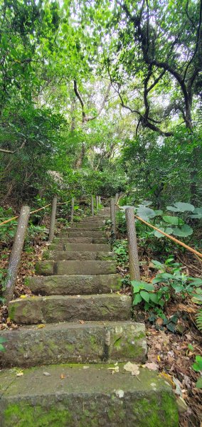 2024-06-15觀音山【福隆山、尖山(占山)登山步道】O走2528215