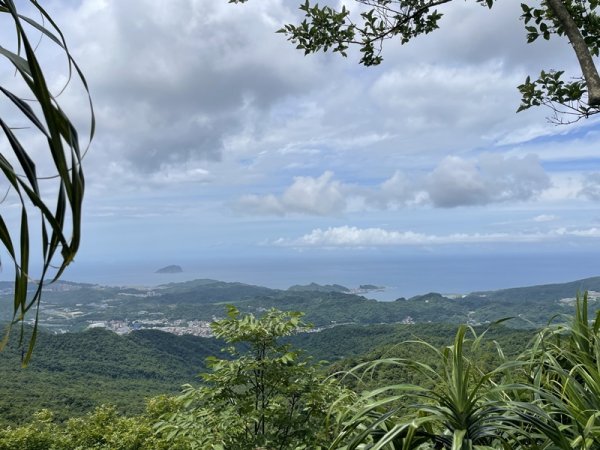 蛇子形古道2511196