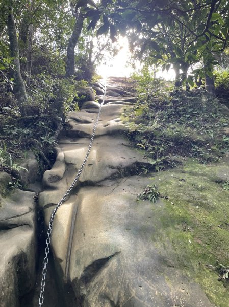 【二格山系】皇帝殿稜線2914133