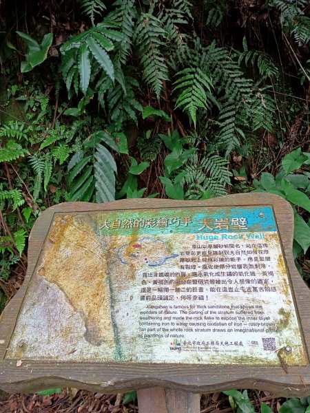 【臺北-臺灣百大必訪步道】暢遊四獸山、中華山岳南港山九五峰十路會師登山活動1541458