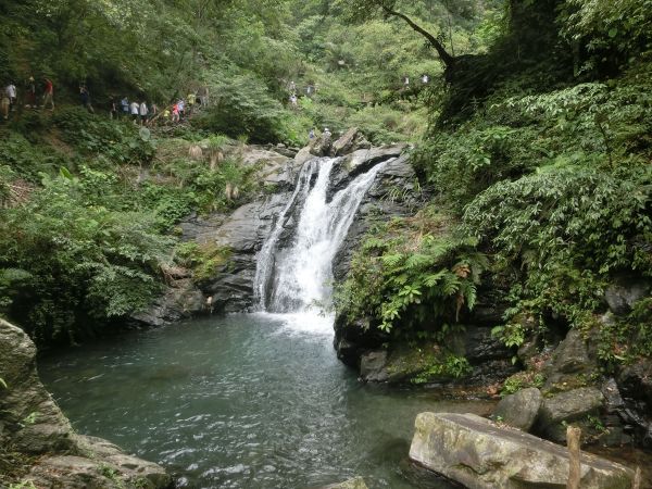 新寮瀑布．仁山植物園373852