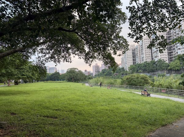 [2026臺北健走趣-09/50] 2026_0806_景美河濱公園3110830