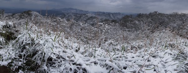 「四分尾山」賞雪趣(2016/01/24)1945033