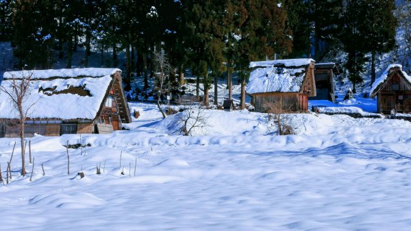 冬日的祈禱合掌村2981207