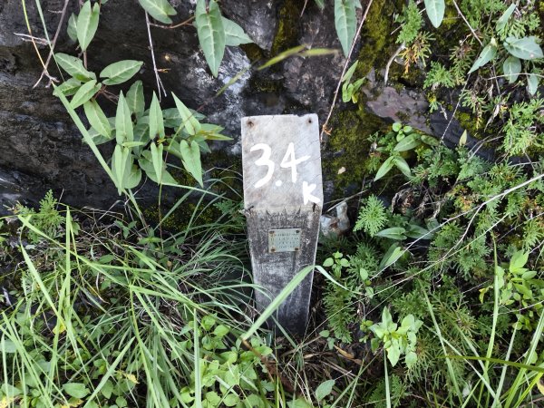 [玉山尋寶任務-07/12] 2025_0824 八通關雲龍瀑布步道2870596